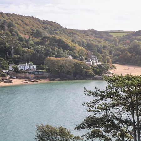 2 Poundstone Court Vila Salcombe Exterior foto
